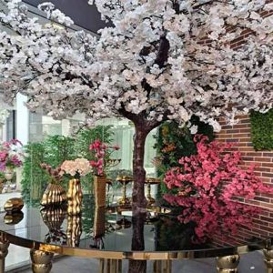 درختچه